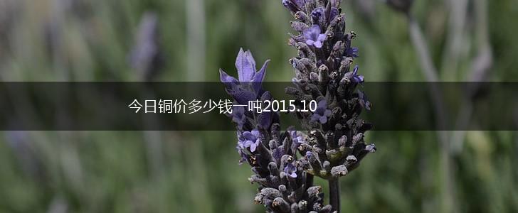 今日铜价多少钱一吨2015.10,第1张