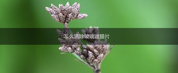 怎么清除玻璃镀膜片,第1张