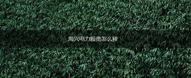 海兴电力股票怎么样,第1张