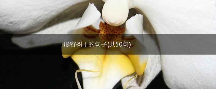形容树干的句子(共50句),第1张