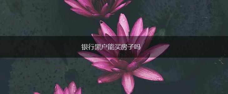 银行黑户能买房子吗,第1张