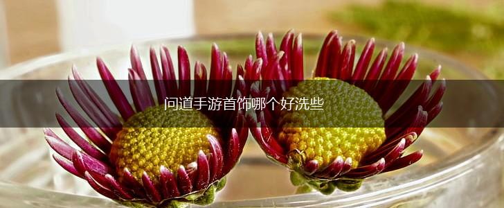 问道手游首饰哪个好洗些,第1张