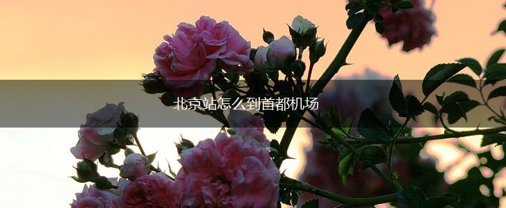北京站怎么到首都机场,第1张