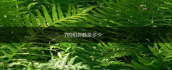 7的相邻数是多少,第1张