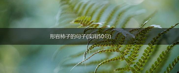 形容柿子的句子(实用50句),第1张