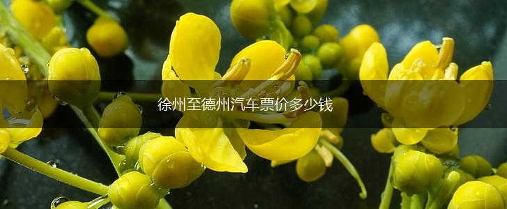 徐州至德州汽车票价多少钱,第1张