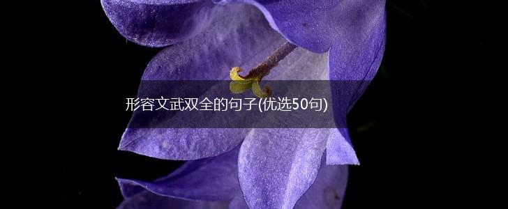 形容文武双全的句子(优选50句),第1张