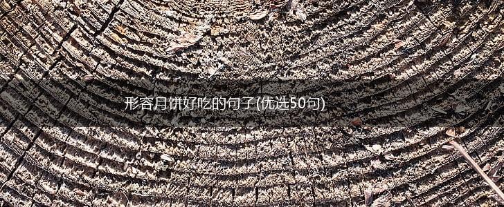 形容月饼好吃的句子(优选50句),第1张