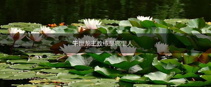 朱世龙主教练是哪里人,第1张