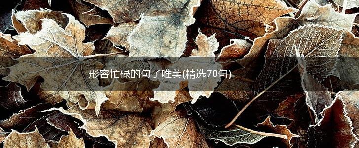 形容忙碌的句子唯美(精选70句),第1张