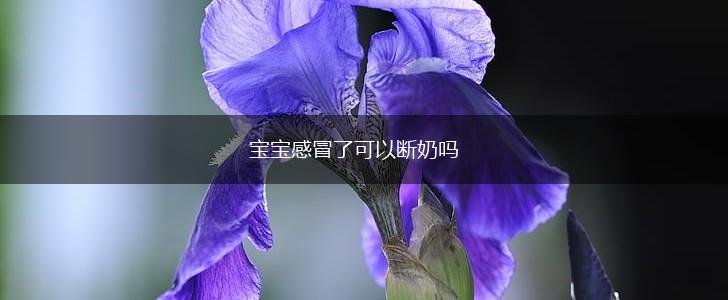 宝宝感冒了可以断奶吗,第1张