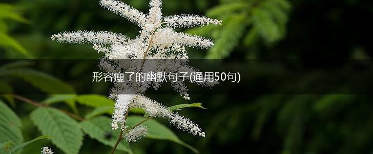 形容瘦了的幽默句子(通用50句),第1张
