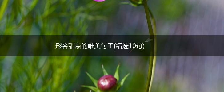 形容甜点的唯美句子(精选10句),第1张