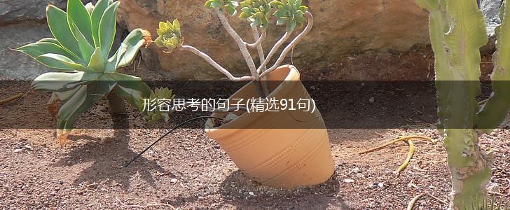 形容思考的句子(精选91句),第1张