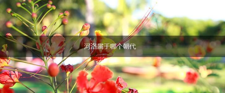 河洛属于哪个朝代,第1张