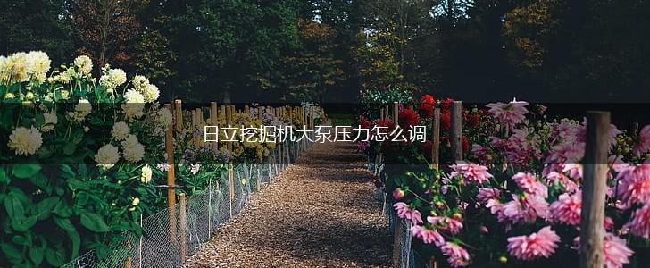 日立挖掘机大泵压力怎么调,第1张