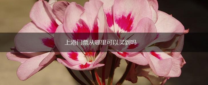 上港门票从哪里可以买到吗,第1张