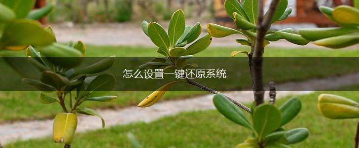 怎么设置一键还原系统,第1张