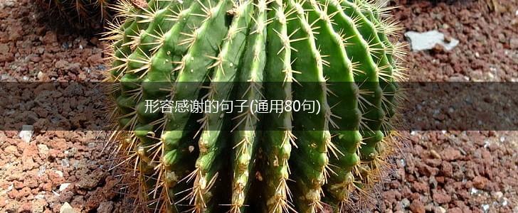 形容感谢的句子(通用80句),第1张