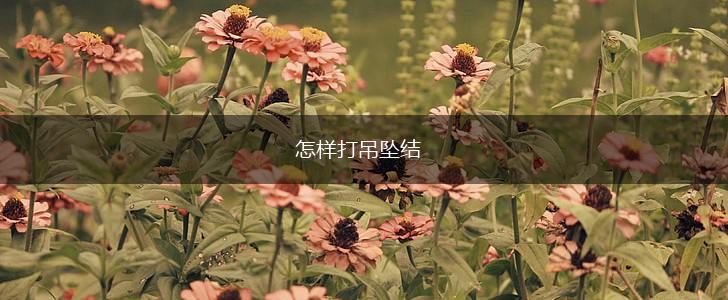 怎样打吊坠结,第1张