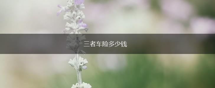三者车险多少钱,第1张
