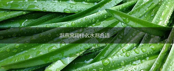 泡燕窝用什么水泡合适,第1张