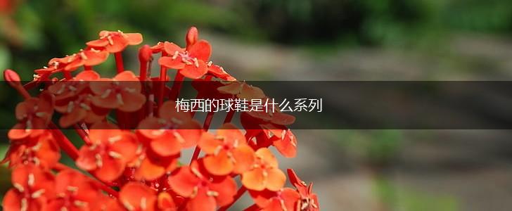 梅西的球鞋是什么系列,第1张