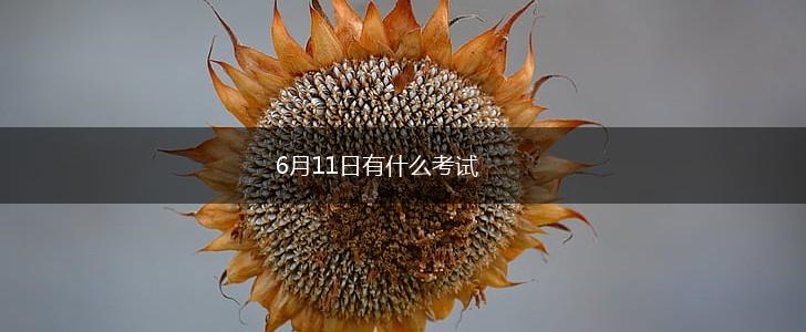 6月11日有什么考试,第1张