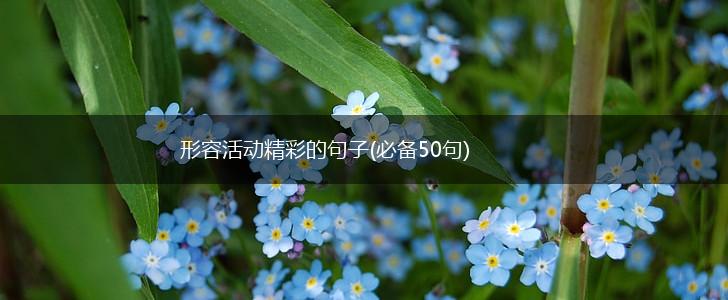 形容活动精彩的句子(必备50句),第1张