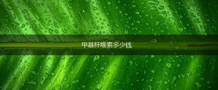 甲基纤维素多少钱,第1张