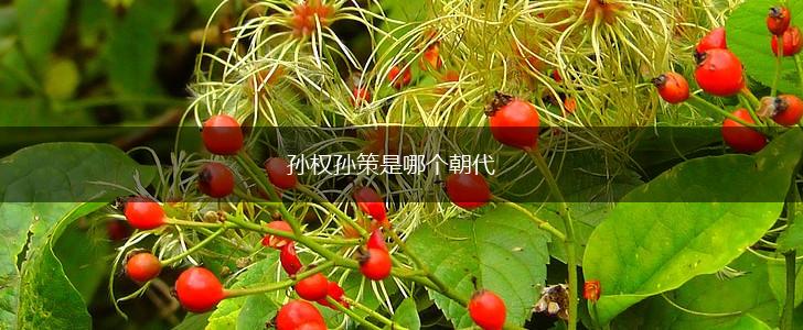 孙权孙策是哪个朝代,第1张