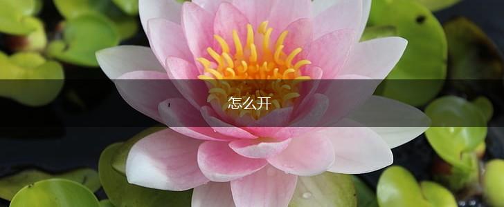 怎么开,第1张