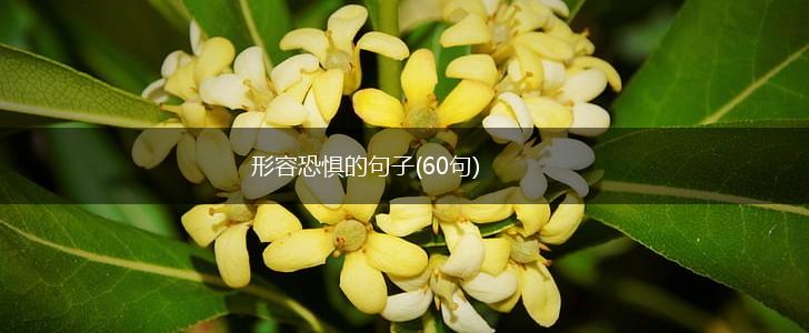 形容恐惧的句子(60句),第1张