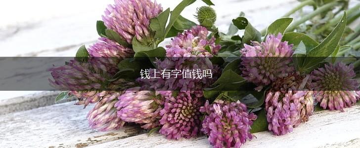 钱上有字值钱吗,第1张