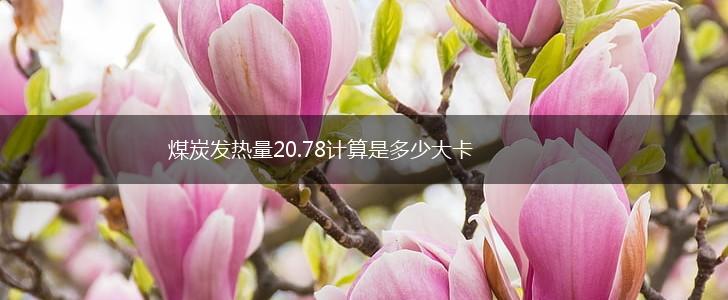 煤炭发热量20.78计算是多少大卡,第1张