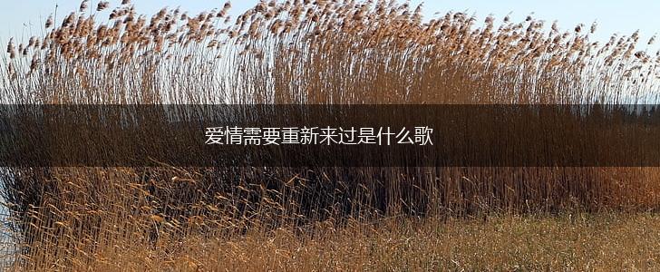 爱情需要重新来过是什么歌,第1张