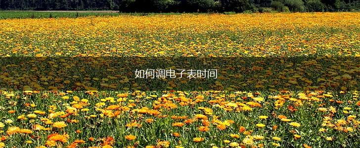 如何调电子表时间,第1张