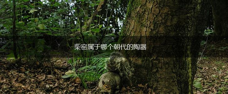 柴窑属于哪个朝代的陶器,第1张