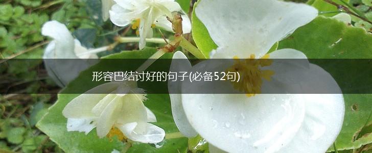 形容巴结讨好的句子(必备52句),第1张