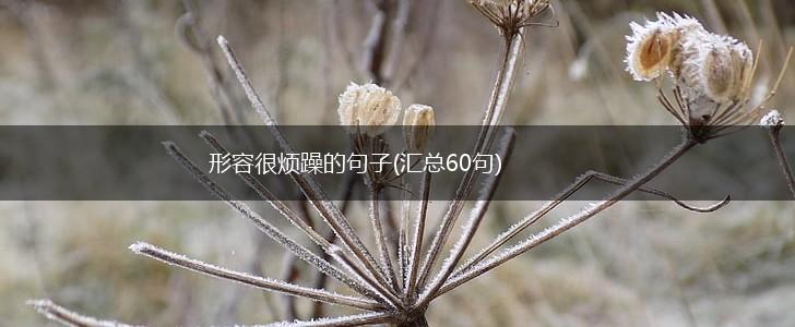 形容很烦躁的句子(汇总60句),第1张