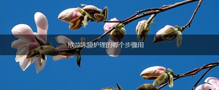 欣兰冻膜护理的哪个步骤用,第1张