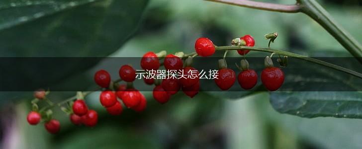 示波器探头怎么接,第1张