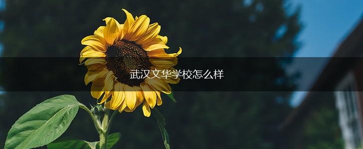 武汉文华学校怎么样,第1张