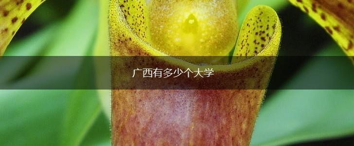 广西有多少个大学,第1张