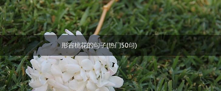 形容桃花的句子(热门50句),第1张