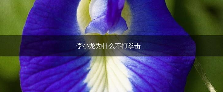 李小龙为什么不打拳击,第1张