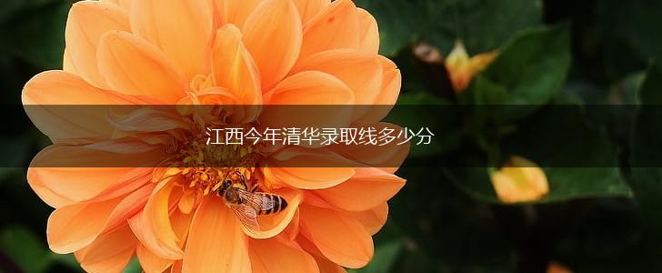 江西今年清华录取线多少分,第1张