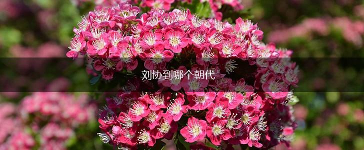 刘协到哪个朝代,第1张