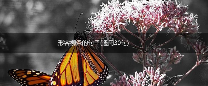 形容柳条的句子(通用30句),第1张
