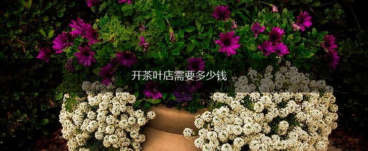 开茶叶店需要多少钱,第1张